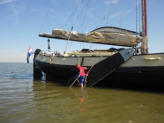 Lemsteraak  Bries auf einer Sandbank