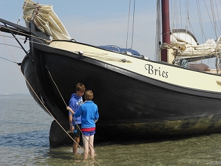 Lemsteraak  Bries auf einer Sandbank