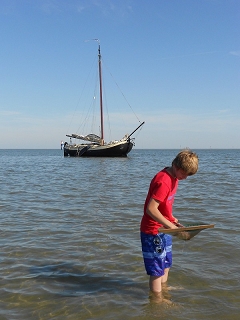 Lemsteraak  Bries auf einer Sandbank