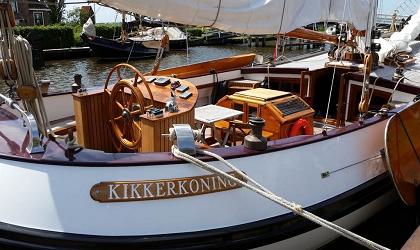 Kikkerkoning Cockpit